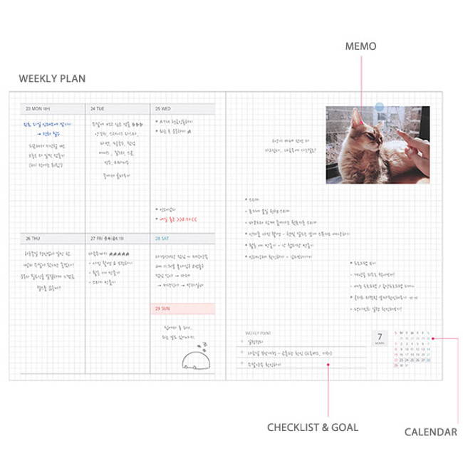 Weekly plan - 2018 Design my life medium dated weekly agenda