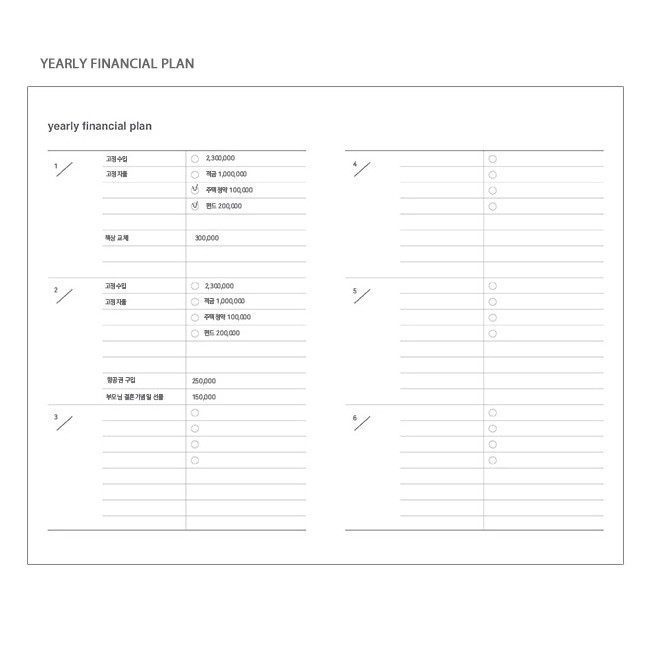 Yearly financial plan - Poche cash cash book planner