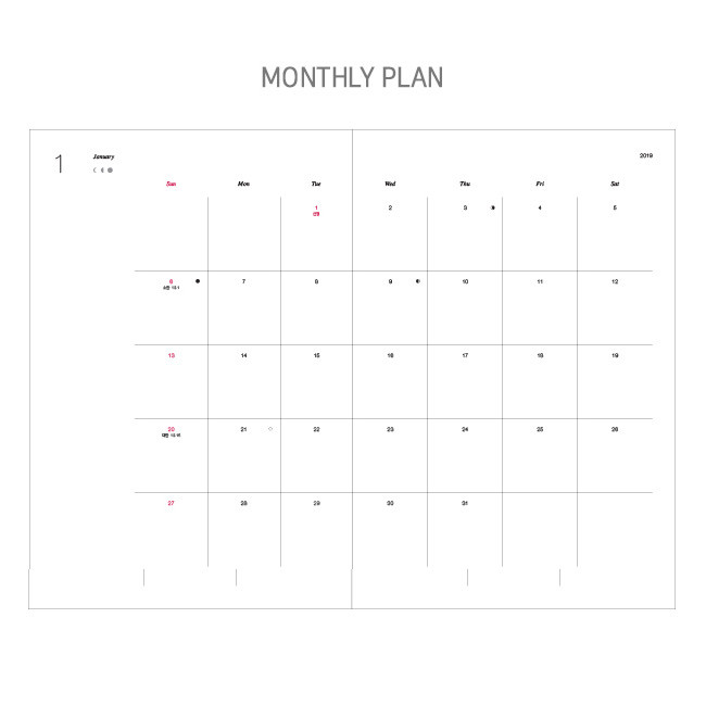 Monthly plan - 2019 Dear moon large dated weekly diary