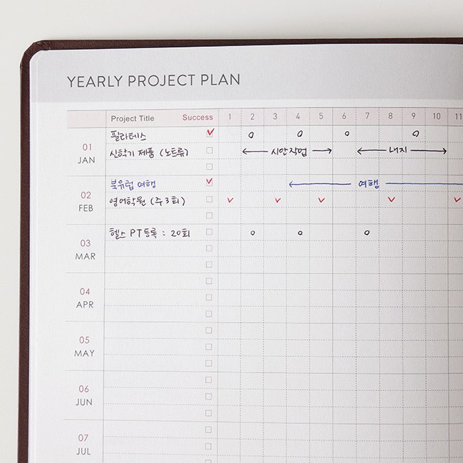 Yearly project plan - Indigo 2019 Prism dated weekly planner