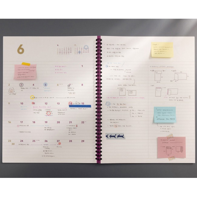 Monthly - 2019 Spiral A4 dated monthly second planner