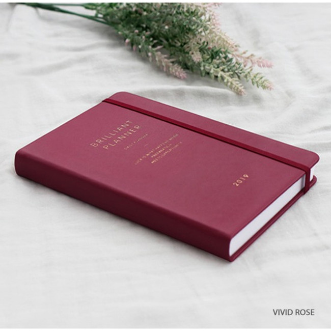 Vivid rose - 2019 Brilliant dated 396 daily planner