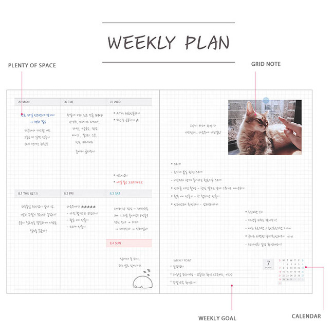 Weekly plan - 2019 Design my life envelope medium dated weekly planner
