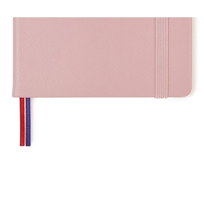 Two ribbon book - 2019 Appointment free dated daily diary