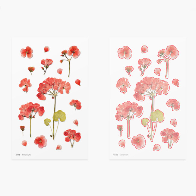 Appree Geranium press flower deco sticker