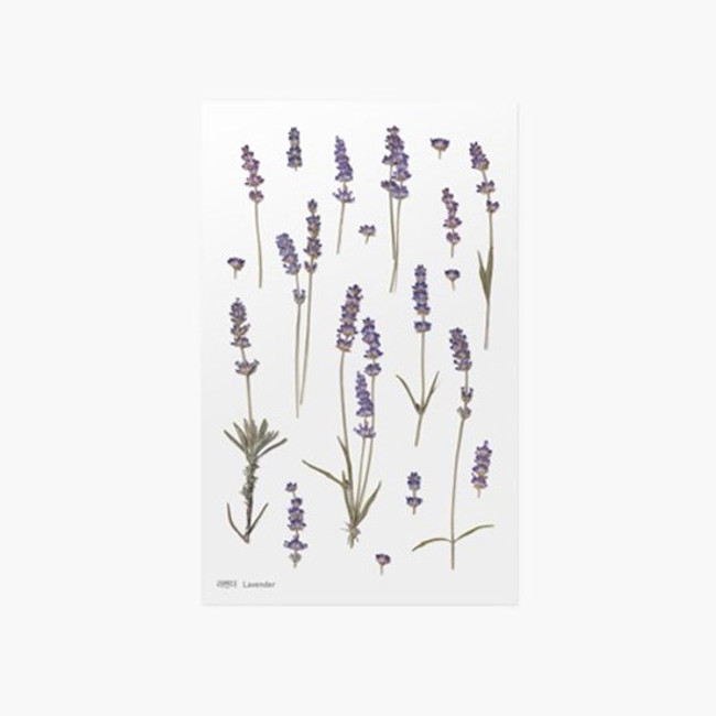 Appree Lavender press flower deco sticker