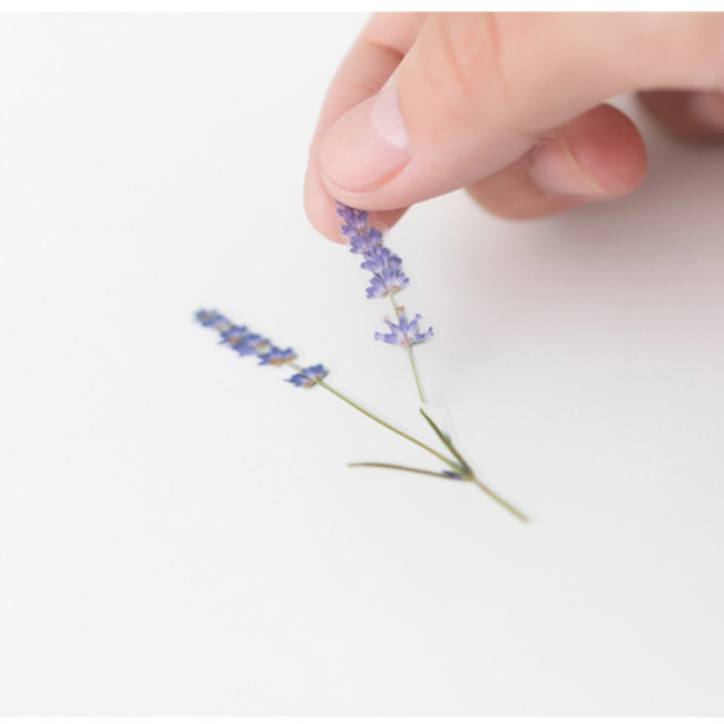 Appree Lavender press flower deco sticker