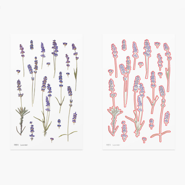 Appree Lavender press flower deco sticker