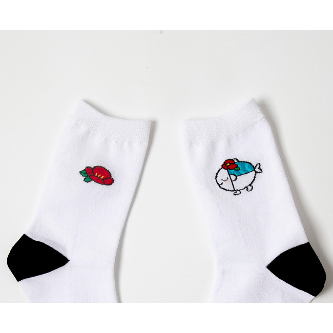 DESIGN IVY Ggo deung o embroidered socks