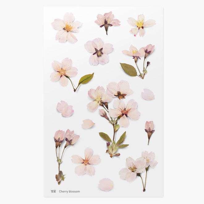 Appree Cherry blossom pressed flower deco sticker