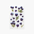 Appree Pansy pressed flower sticker