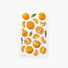 Appree Mandarin Fruit Clear Sticker