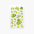 Appree Green Grape Fruit Clear Sticker