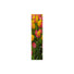 Ddori House Vibrant Tulip Flower Bookmark