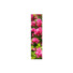 Ddori House Red Rose Flower Bookmark