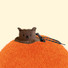 Miffy Boris Small Hat Zipper Pouch with Strap