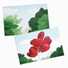 DALPAPER Scenery Paper Card