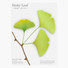 Ginkgo leaf green sticky memo notes Large