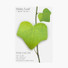 Ivy leaf green sticky memo notes Small