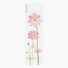 Pink cosmos sticky memo notes