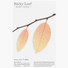 Birch leaf orange transparent sticky memo notes 