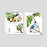Nacoo Bird Illustration Card Set