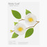 Camellia leaf white sticky memo notes Large
