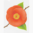 Camellia leaf red sticky memo notes