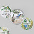 Nacoo Fruit Bird Circle Sticker Pack with Tin Case