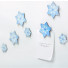 Appree Snow flower magnet set