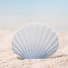 Appree Scallop sticky memo notes Large