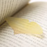 Ginkgo leaf transparent sticky memo notes Small 
