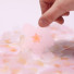 Cherry blossom transparent sticky memo notes Medium