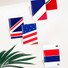 Flag RFID blocking passport case