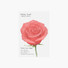Red - Appree Rose small sticky memo notes