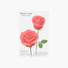 Appree Rose medium sticky memo notes