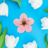 ABJECTION Apple blossom cards and envelope set