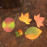 ABJECTION Tree leaf 3 cards set