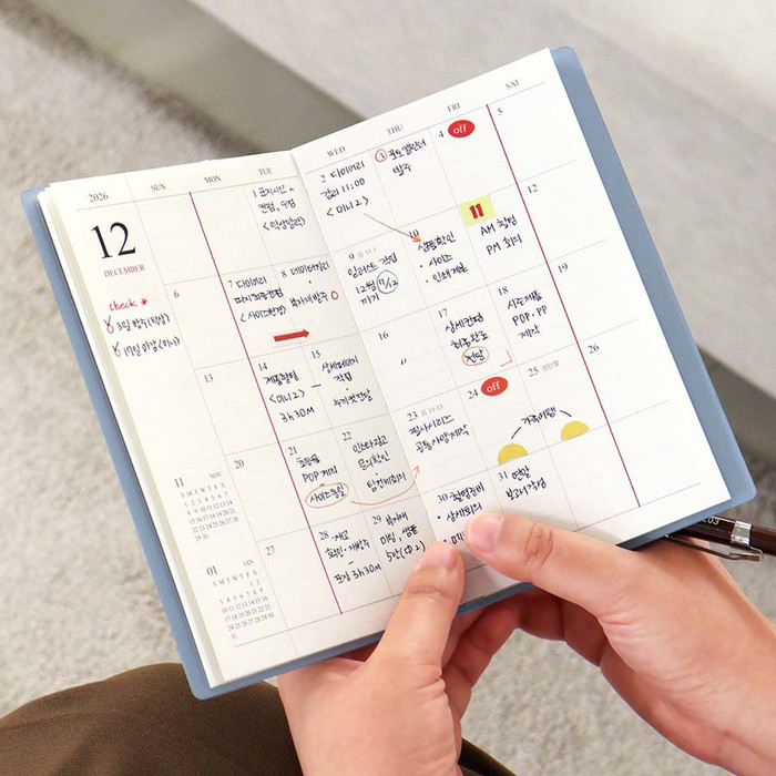 The planner's clean monthly spread, offering a solution to chaos.