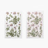 Appree Astragalus sinicus pressed flower sticker