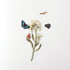 Usage example - Appree Butterfly nature clear sticker