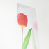 Appree Pink tulip sticky memo notes