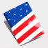 USA - Flag RFID blocking passport case