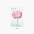 Pink - Lotus small sticky memo notes