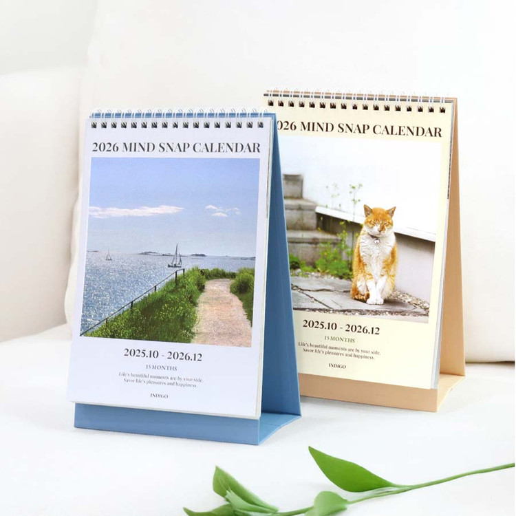 Indigo 2026 Mind Snap A5 Desk Calendar
