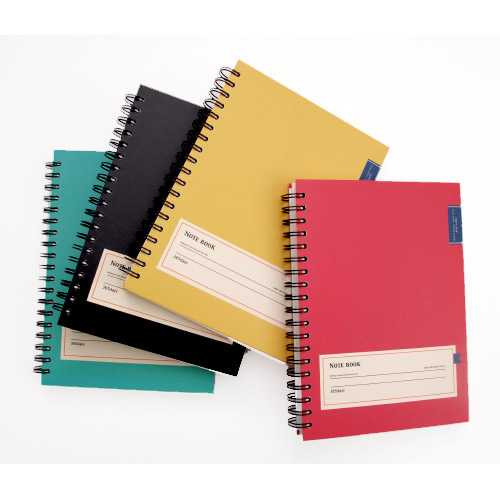 2Young Wirebound carpe diem lined notebook
