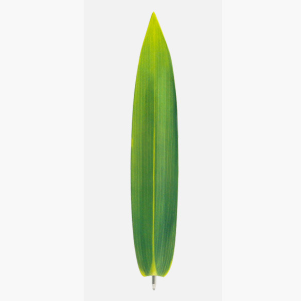 Bamboo green leaf bookmark black ballpoint pen