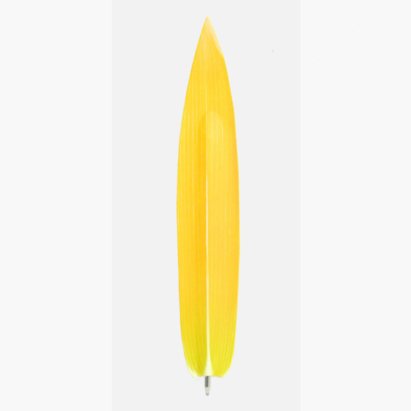 Bamboo yellow leaf bookmark black ballpoint pen