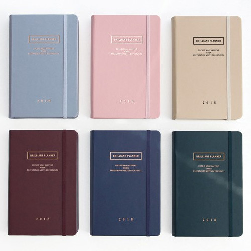 2018 Brilliant simple dated daily planner