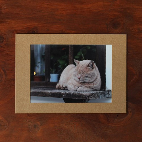 Square 5X7 Kraft paper photo frame set of 15 sheets